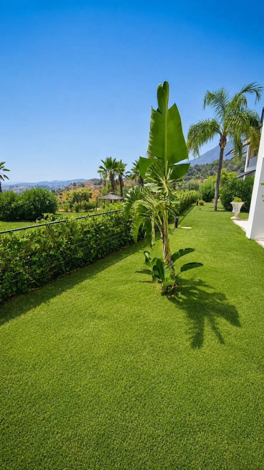 2 Bedroom Ground Floor Apartment for Sale in Estepona, Málaga - Image 3