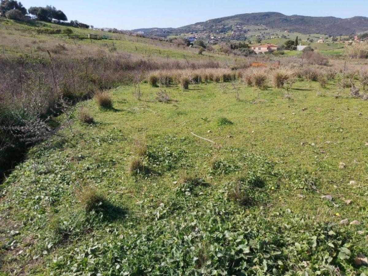 Plot Land in Estepona
