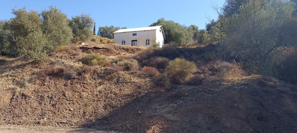 Plot Land in Atalaya